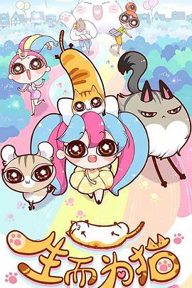 合肥优化网站排名多少钱